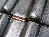 Z-1-4: Kupferrolle fr Ton-Ziegel-Pfannen